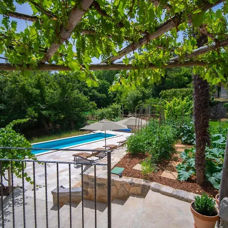 Vakantiehuis Holiday Oliti